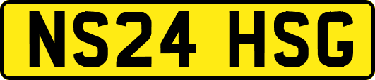 NS24HSG