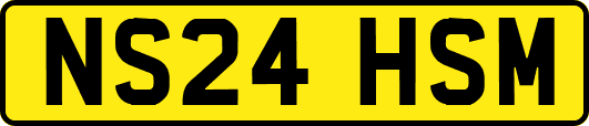 NS24HSM