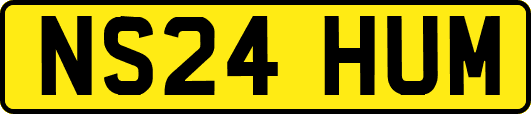 NS24HUM