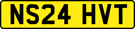 NS24HVT