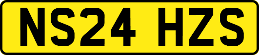 NS24HZS