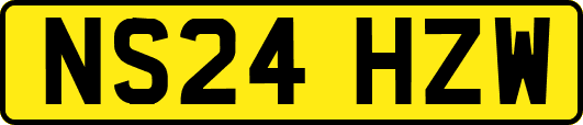 NS24HZW