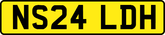 NS24LDH