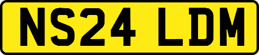NS24LDM