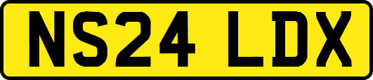 NS24LDX