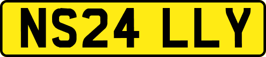 NS24LLY