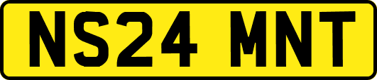 NS24MNT