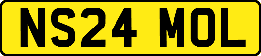 NS24MOL