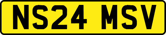 NS24MSV