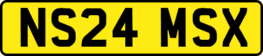 NS24MSX