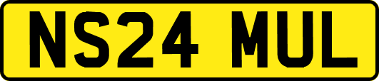 NS24MUL