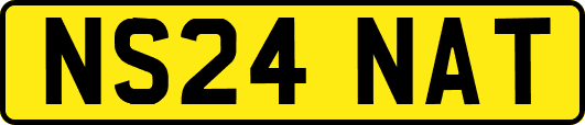NS24NAT