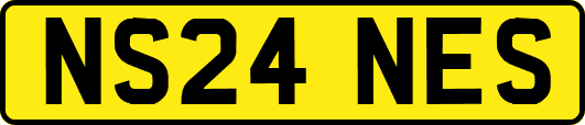 NS24NES