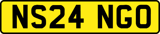 NS24NGO