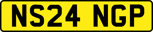 NS24NGP
