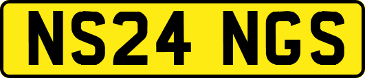NS24NGS