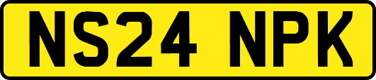NS24NPK