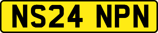 NS24NPN