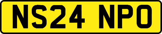 NS24NPO