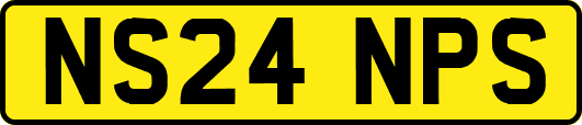 NS24NPS