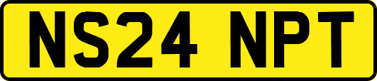 NS24NPT
