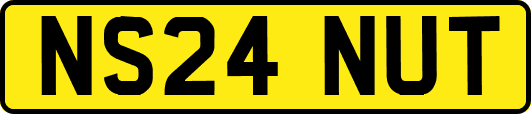 NS24NUT