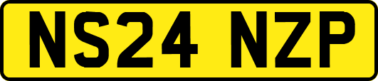 NS24NZP