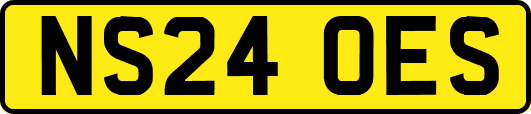 NS24OES