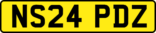 NS24PDZ