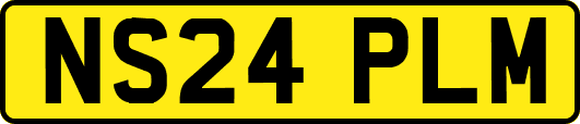 NS24PLM