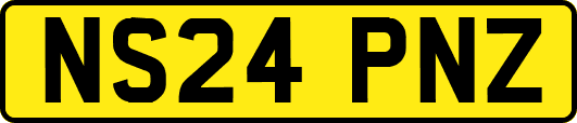 NS24PNZ