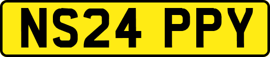 NS24PPY