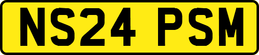 NS24PSM
