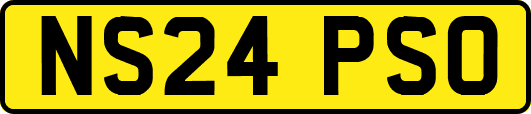 NS24PSO