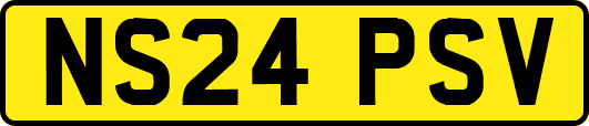 NS24PSV