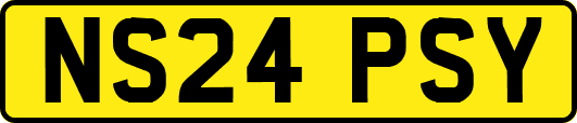 NS24PSY