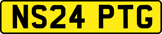 NS24PTG