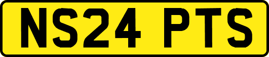 NS24PTS