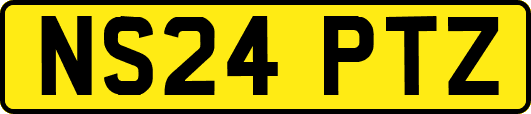 NS24PTZ