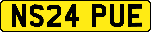 NS24PUE