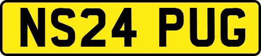 NS24PUG