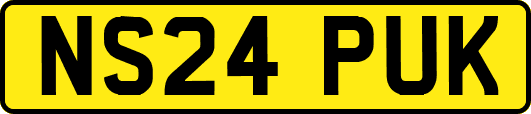NS24PUK