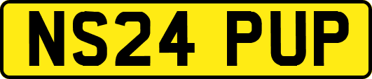 NS24PUP