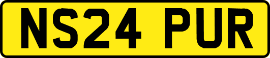 NS24PUR