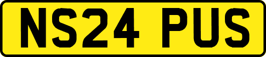 NS24PUS