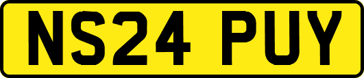 NS24PUY