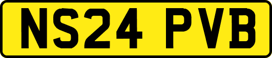 NS24PVB