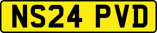 NS24PVD