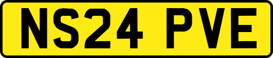 NS24PVE