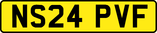 NS24PVF